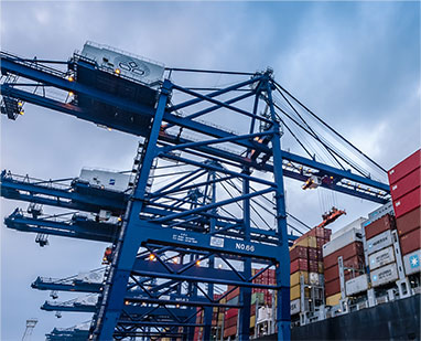 原材料類，木材，鋼筋水泥等特種箱運輸。